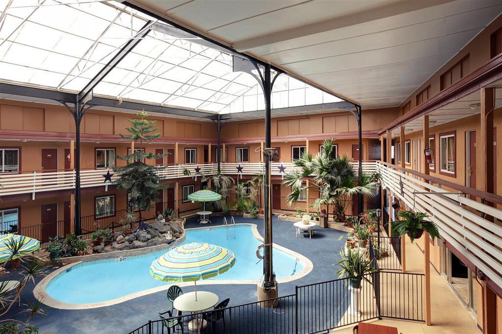 Budget Host Inn Arlington Faciliteter billede
